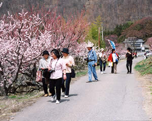 pic12-walking2.jpg