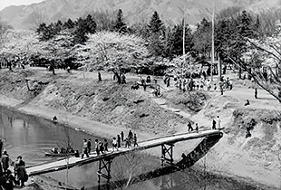 上田城跡公園（昭和30年代）【出典：上田市立博物館所蔵】