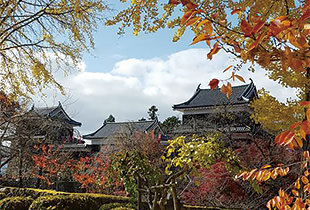 上田城跡公園の紅葉